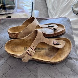 Womens Gizeh in Tobacco Oiled Leather